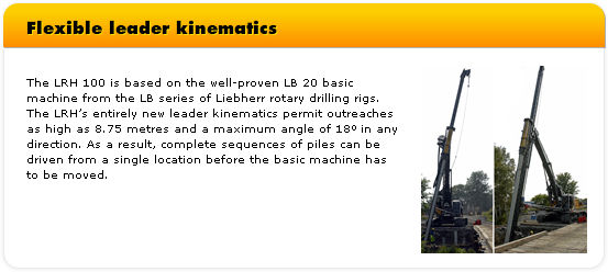 Flexible leader kinematics