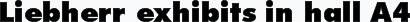 Liebherr exhibits in hall A4
